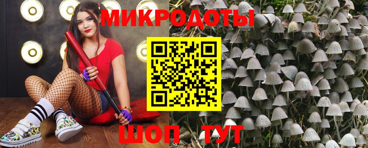 Псилоцибиновые грибы Psilocybine cubensis  Галлюциногенные грибы мухоморы  Вход с VPN  Керчь 